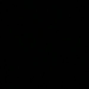 Meet your Posher, Quinn